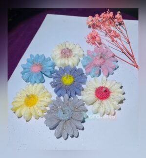 Cordraits Pack of 7 Fragrance Floral Daisy Design Candles