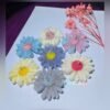 Cordraits Pack of 7 Fragrance Floral Daisy Design Candles